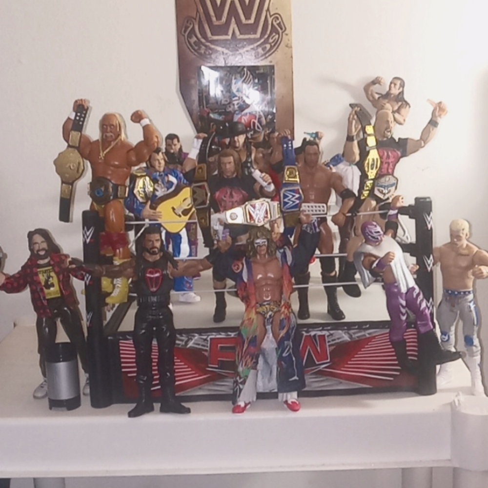 Wrestlers in wrestling ring
